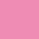Begonia Pink  15-2215 TCX